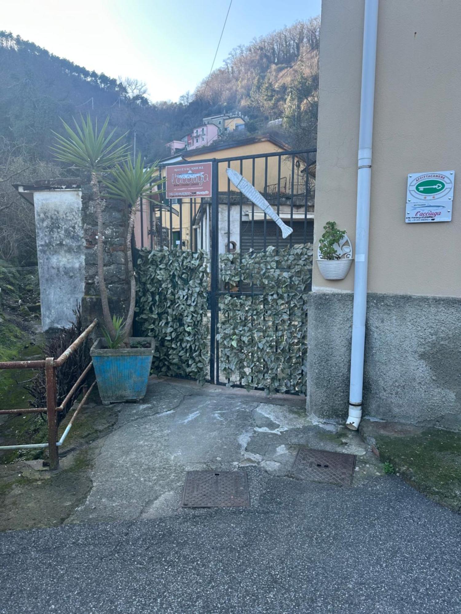 Affittacamere L'Acciuga La Spezia Luaran gambar