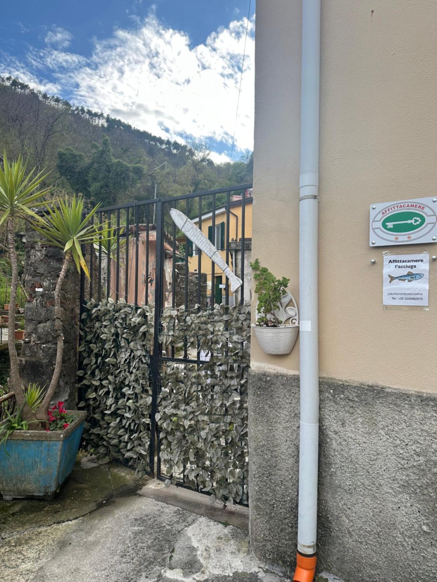 Affittacamere L'Acciuga La Spezia Luaran gambar